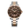 Watches Victorinox | Maverick Large Brown Dial