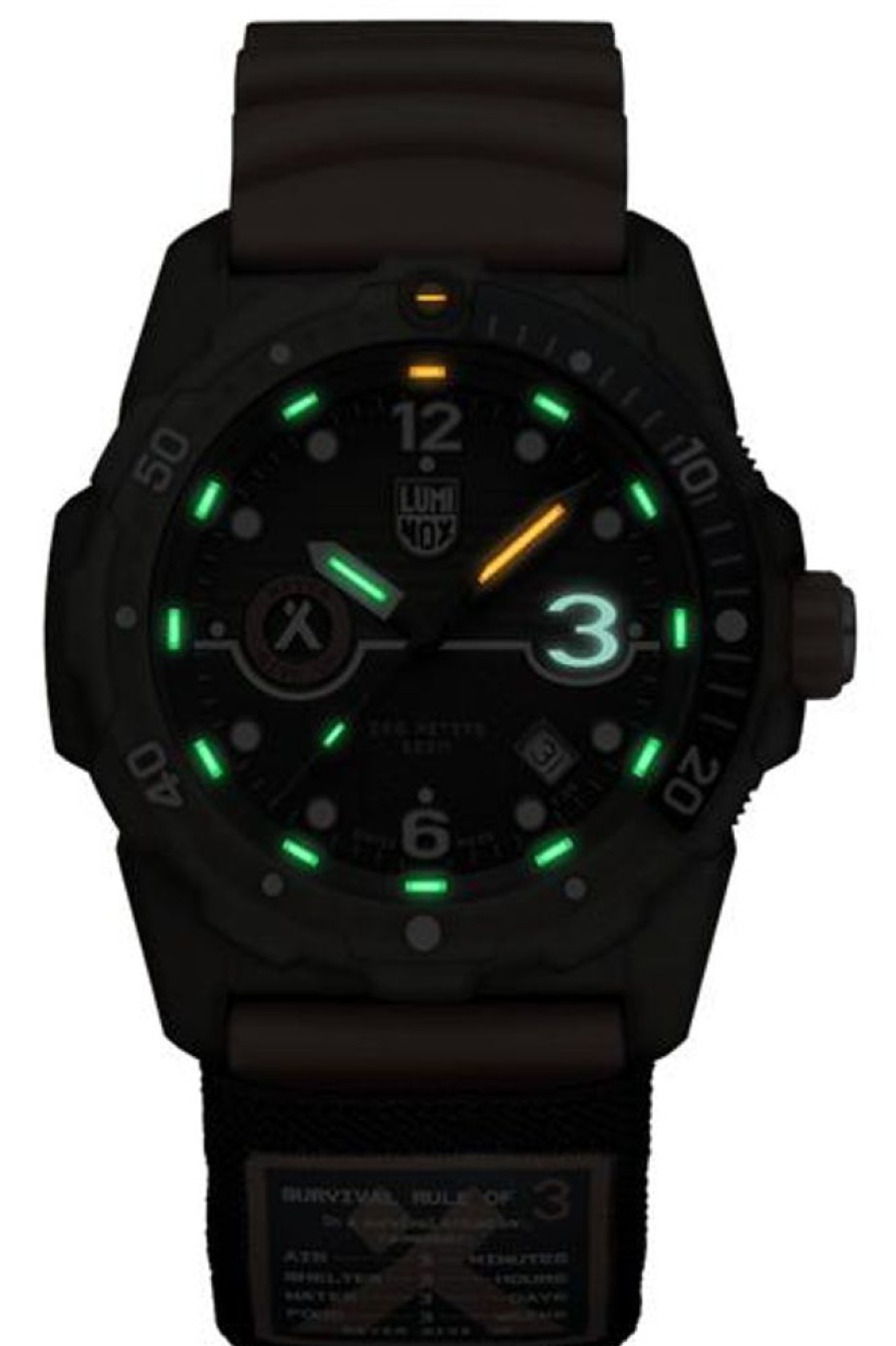 Watches Luminox | Bear Grylls Survival Eco