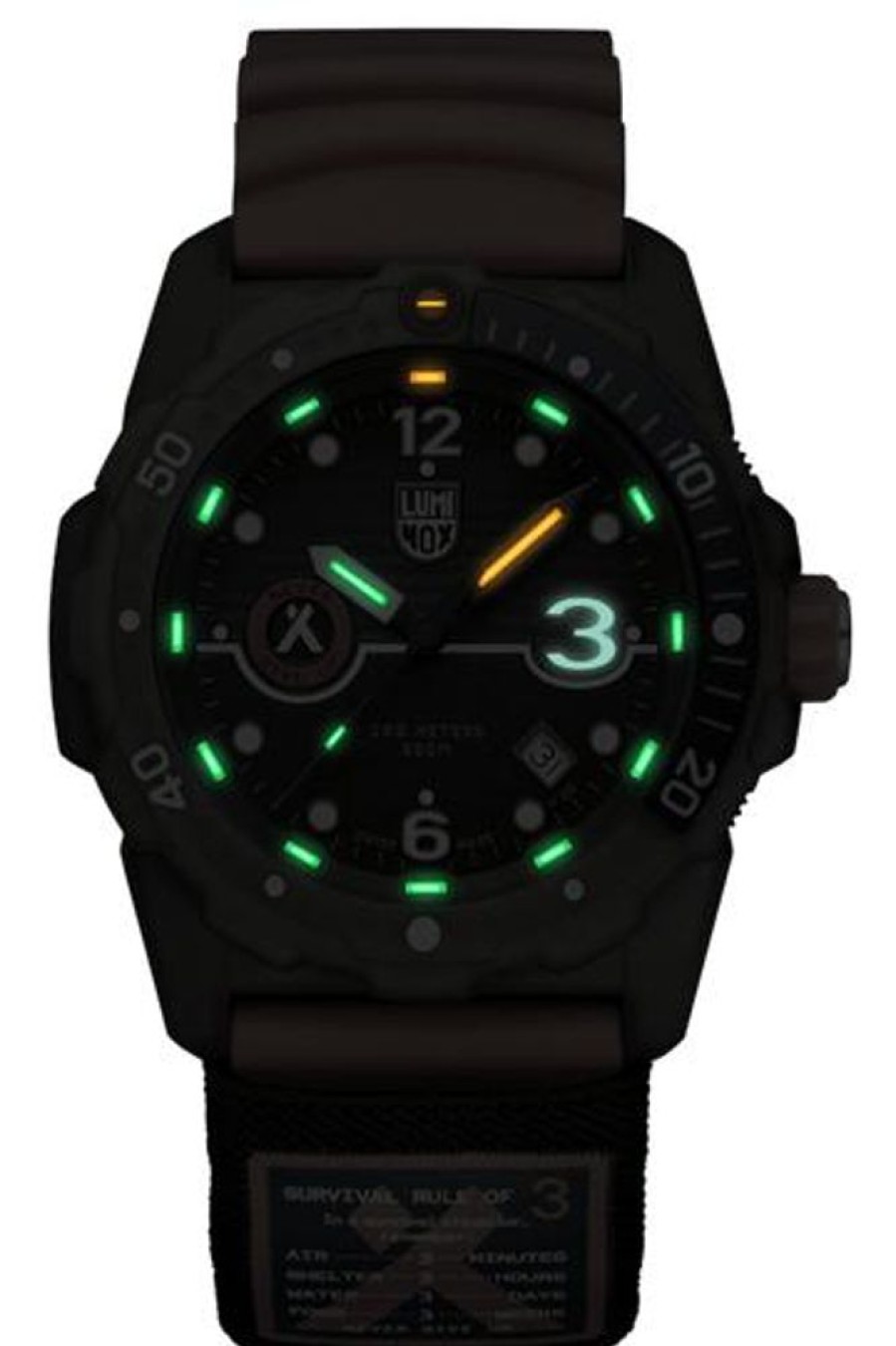 Watches Luminox | Bear Grylls Survival Eco