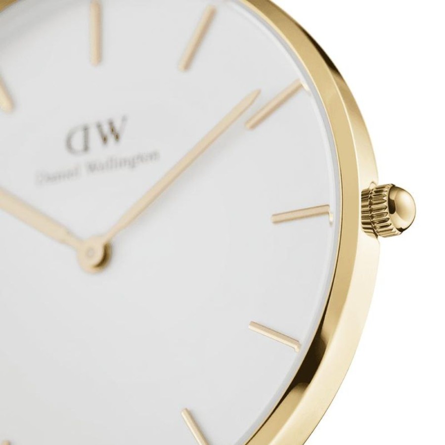 Watches Daniel Wellington | Petite 36Mm Evergold